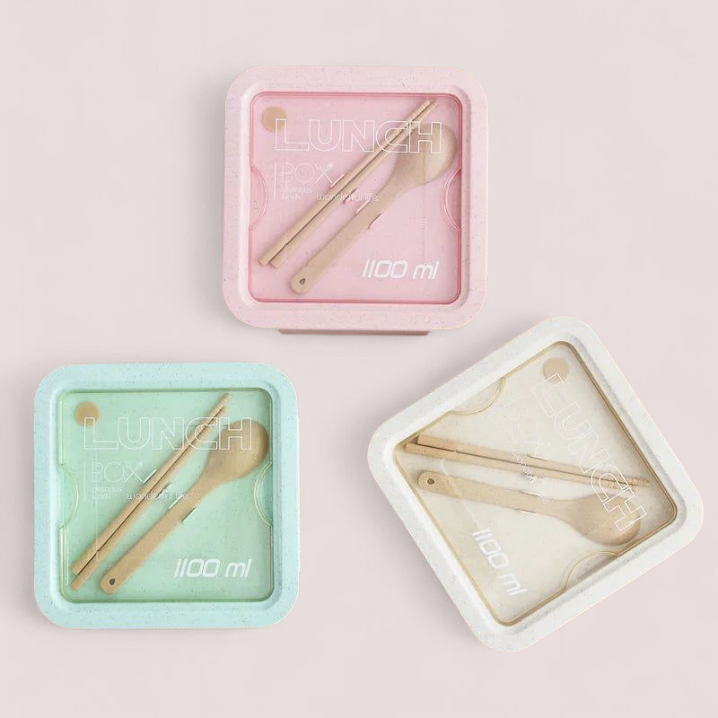 Double Layer Portable Lunch Box With Fork and Spoon