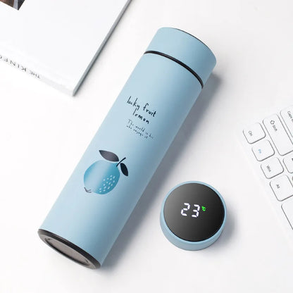 500ML Smart Insulated Water Bottle with Temperature Display