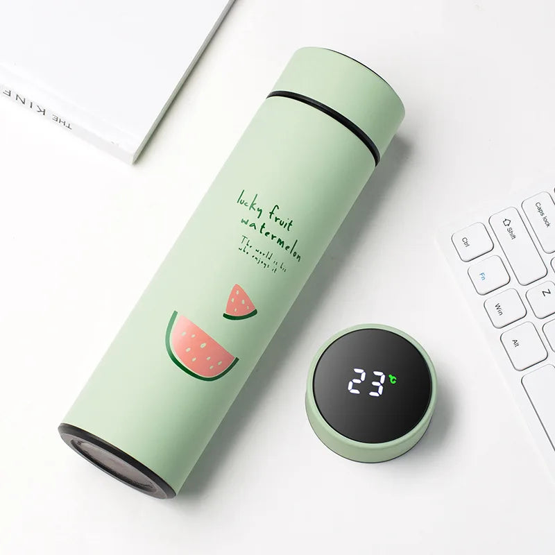 500ML Smart Insulated Water Bottle with Temperature Display